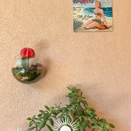 Le Patio Vauban Airco Garage For 4 By Sunset 公寓